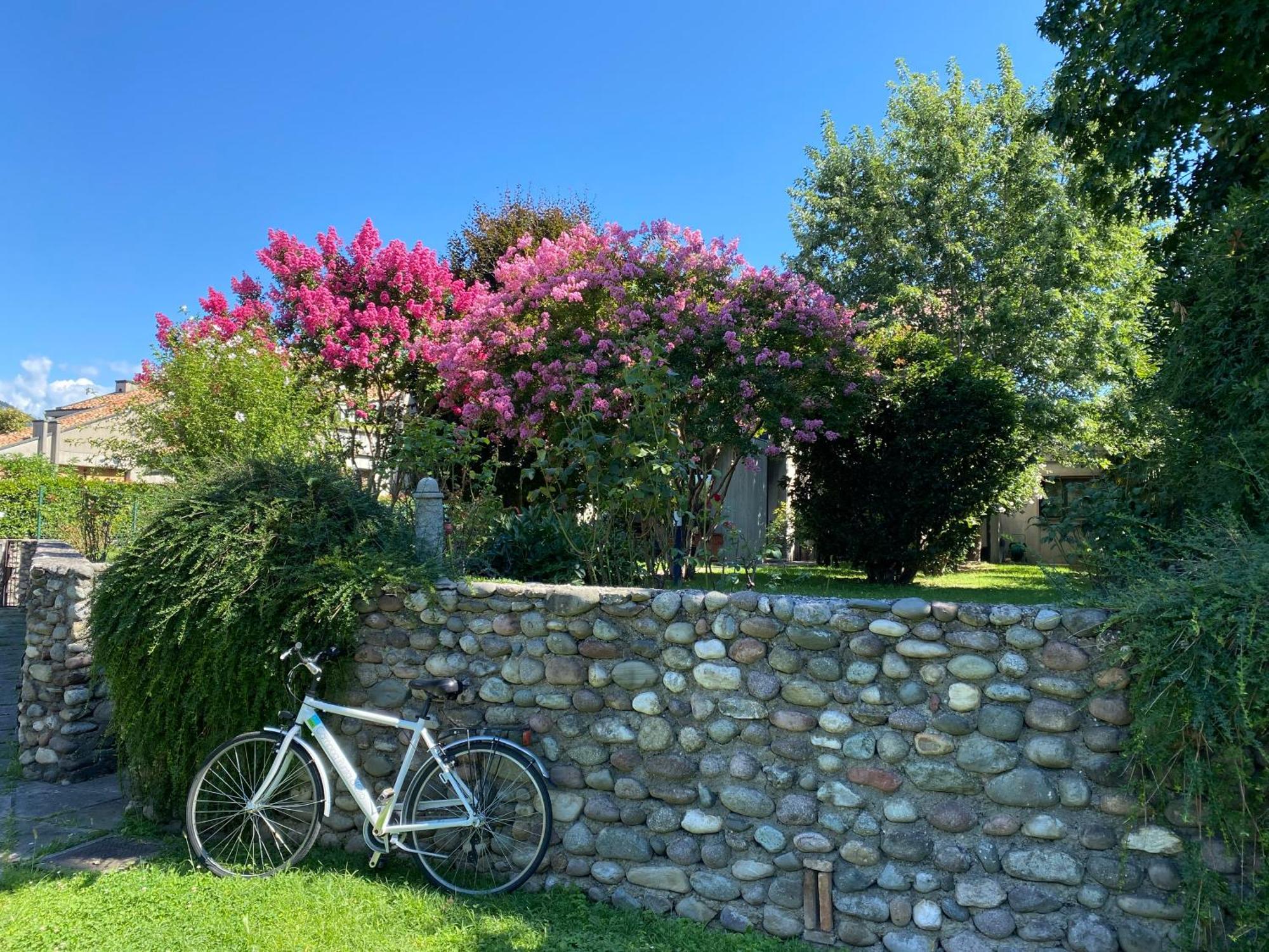 Holiday Home Punta D'Oro With Garden, Parking Place And Lake Access At 300 M Iseo Zewnętrze zdjęcie
