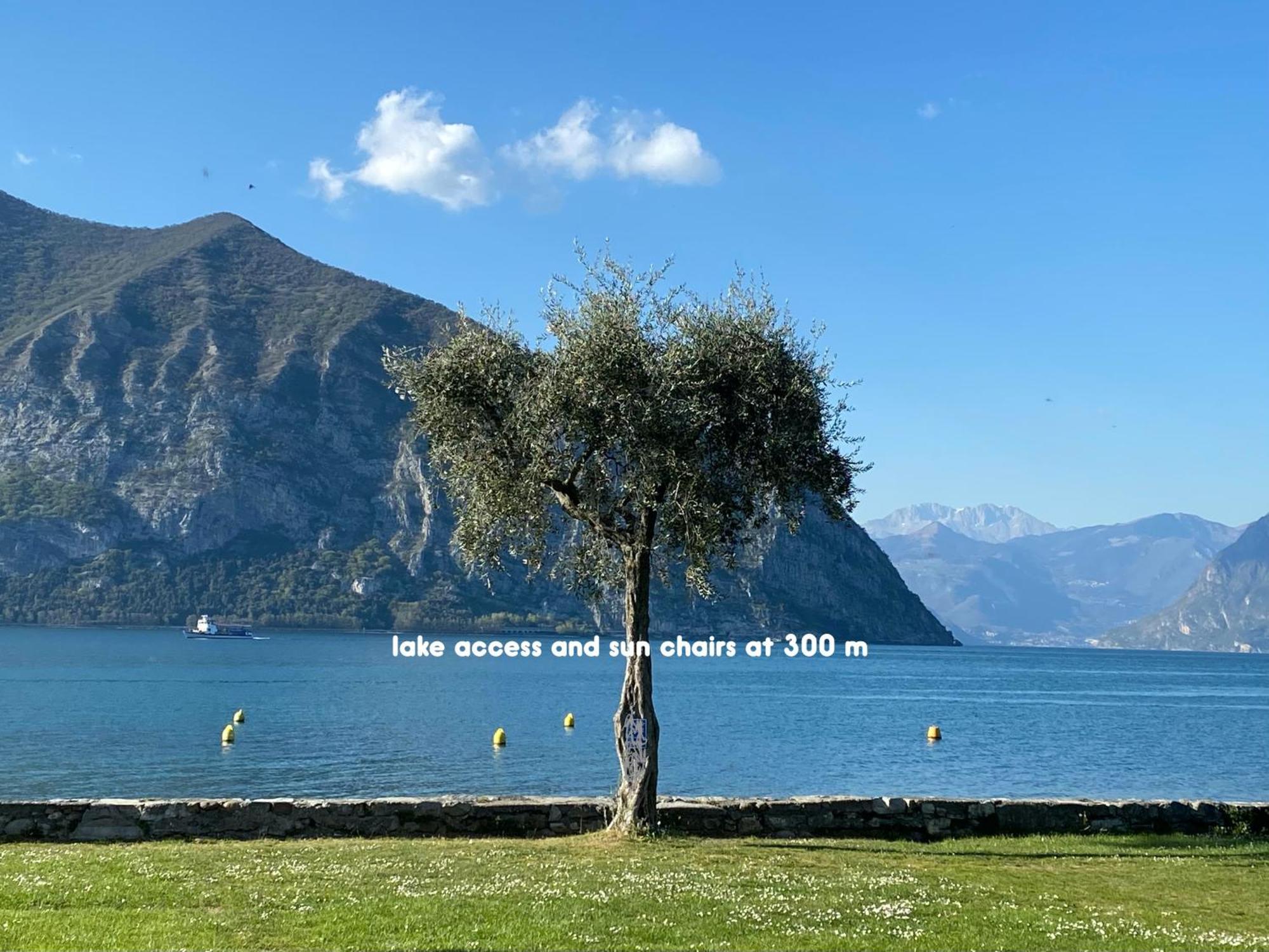 Holiday Home Punta D'Oro With Garden, Parking Place And Lake Access At 300 M Iseo Zewnętrze zdjęcie